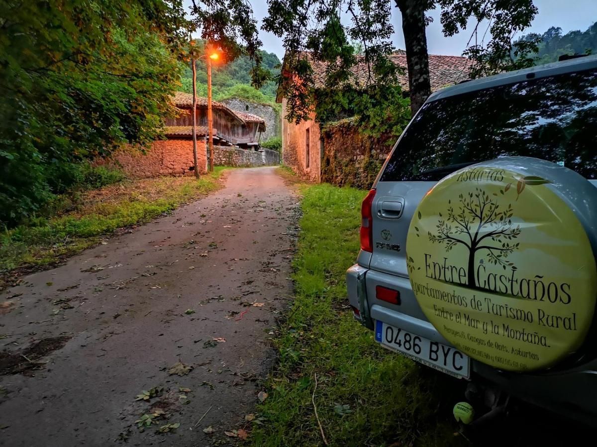 Casas Rurales Entrecastanos Onís Extérieur photo